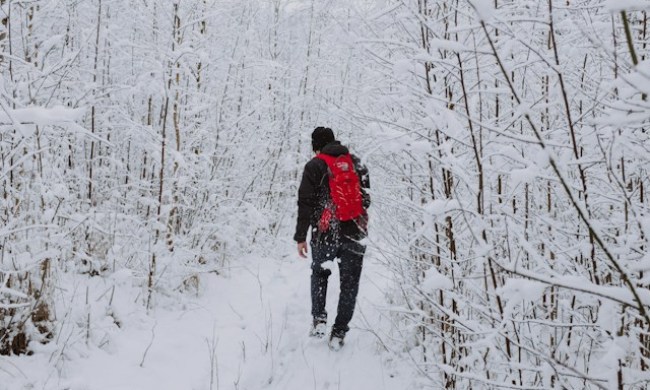 A man in a red jacket walking through the woods, covered in snow
